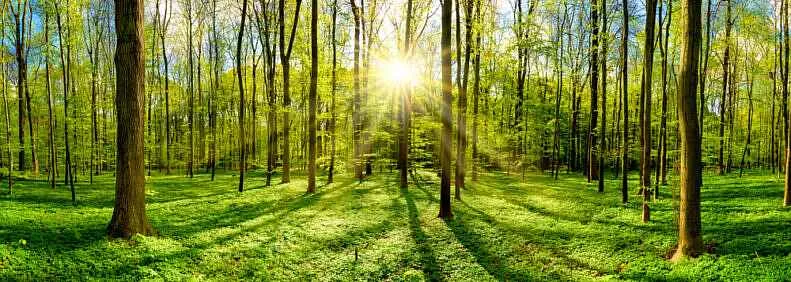 Enviroguide-Consulting